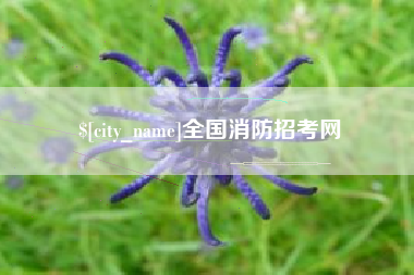 黔西全国消防招考网