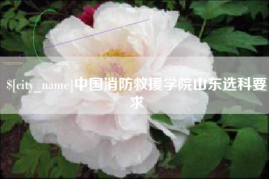 黔西中国消防救援学院山东选科要求