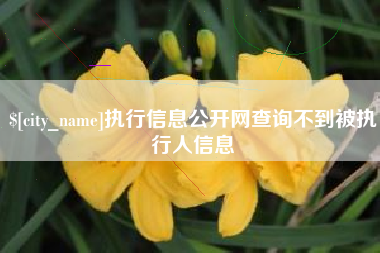 黔西执行信息公开网查询不到被执行人信息