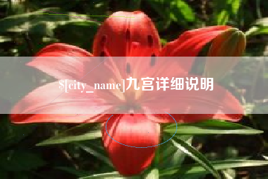 黔西九宫详细说明
