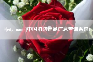 黔西中国消防产品信息查询系统1