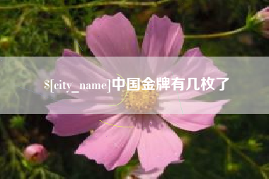 黔西中国金牌有几枚了
