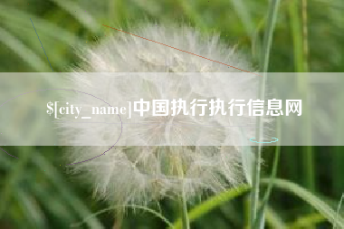 黔西中国执行执行信息网