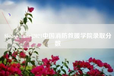 黔西2021中国消防救援学院录取分数