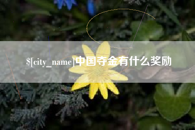 黔西中国夺金有什么奖励