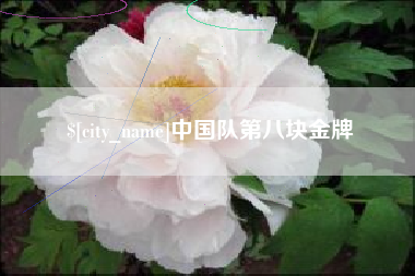 黔西中国队第八块金牌