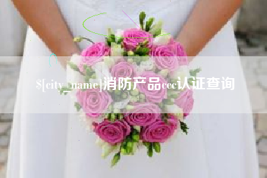 黔西消防产品ccc认证查询
