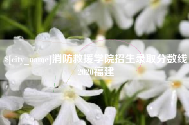 黔西消防救援学院招生录取分数线2020福建