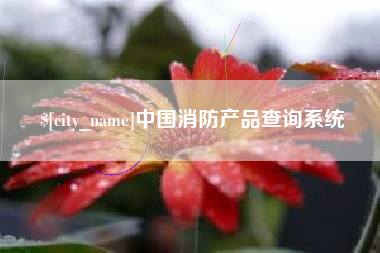 黔西中国消防产品查询系统