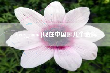 黔西现在中国哪几个金牌