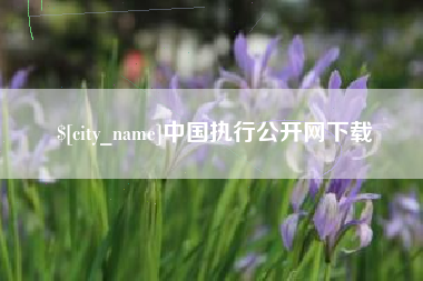 黔西中国执行公开网下载