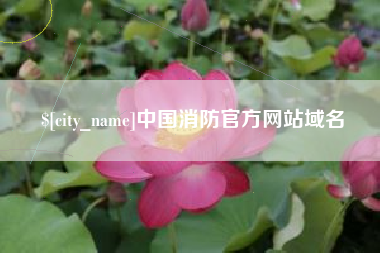 黔西中国消防官方网站域名