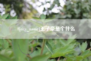 黔西王子豪是个什么