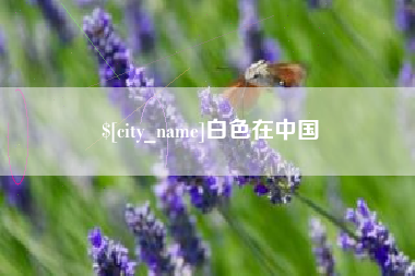 黔西白色在中国