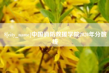 黔西中国消防救援学院2020年分数线