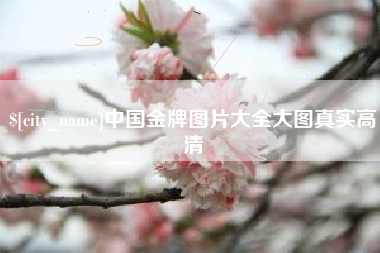 黔西中国金牌图片大全大图真实高清