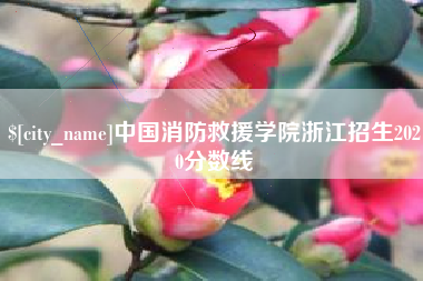 黔西中国消防救援学院浙江招生2020分数线