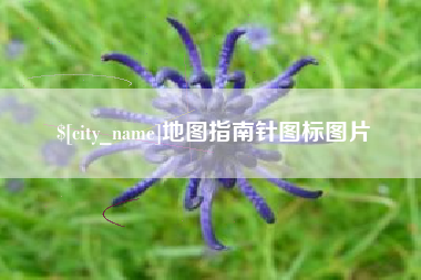 黔西地图指南针图标图片