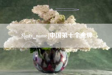 黔西中国第十个金牌