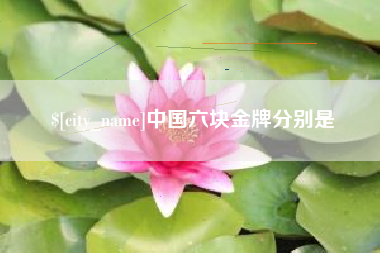 黔西中国六块金牌分别是