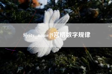 黔西9宫格数字规律
