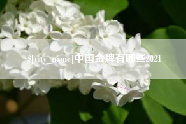 黔西中国金牌有哪些2021
