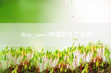 黔西中国的几个金牌