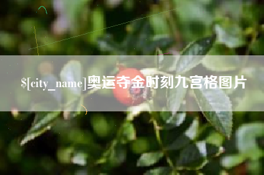 黔西奥运夺金时刻九宫格图片