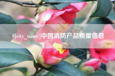 黔西中国消防产品质量信息