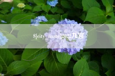 黔西2022九宫