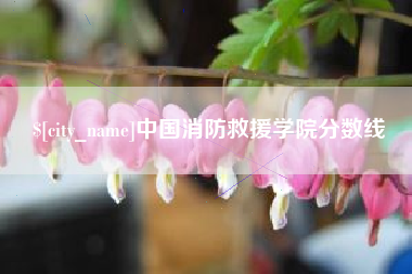 黔西中国消防救援学院分数线