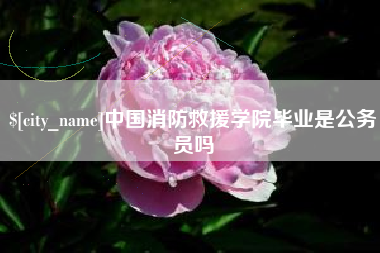 黔西中国消防救援学院毕业是公务员吗