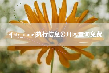 黔西执行信息公开网查询免费