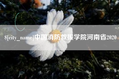 黔西中国消防救援学院河南省2020