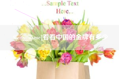黔西看看中国的金牌有多少